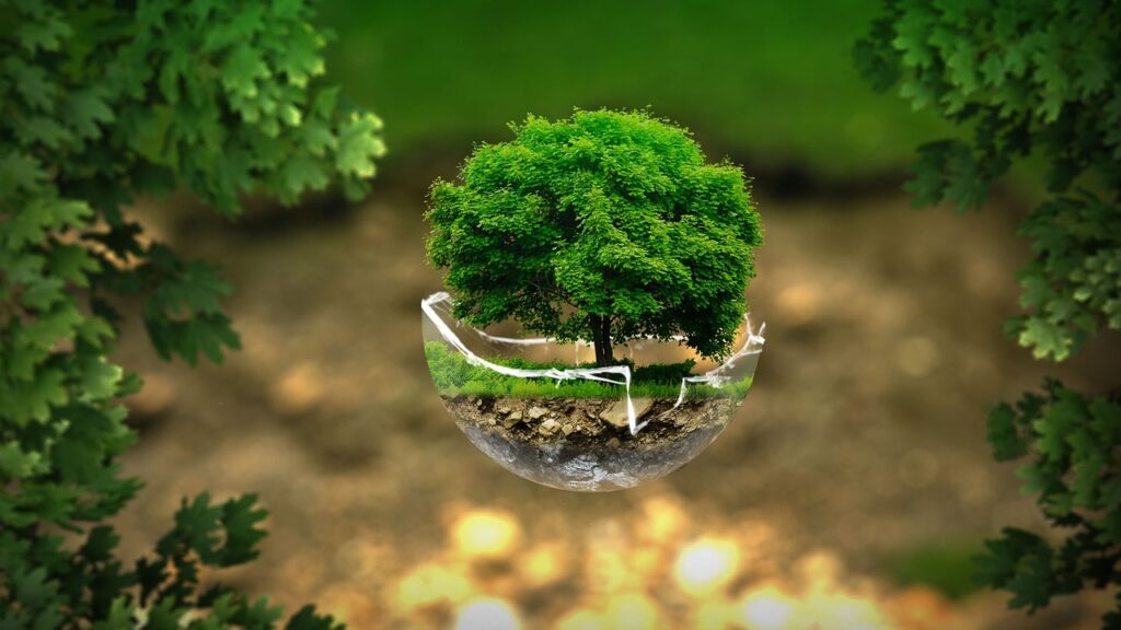 environment, ecology, nature, protection, green, life, eco, bottle tree, letters, glass, tree, fantasy, photoshop, green nature, green tree, green life, green fantasy, green glass, green letter, green bottle, green glasses, green natural, ecology, ecology, ecology, ecology, eco, eco, eco, eco, eco